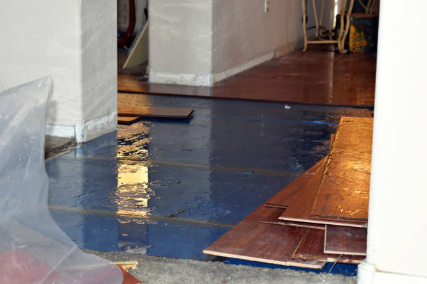 Professional Sewage Cleanup technician working in Corsicana, TX